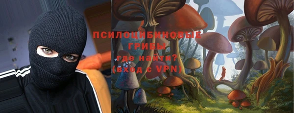 гидра Абдулино