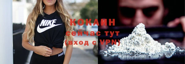 стаф Абинск
