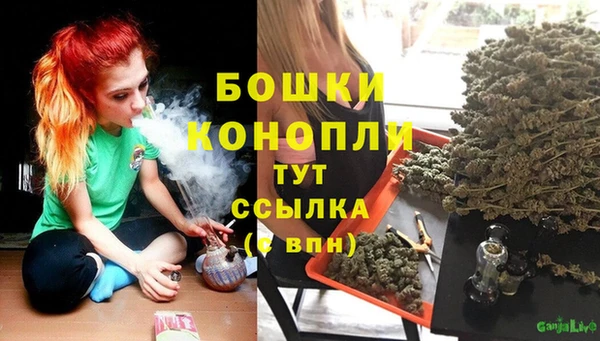 Альфа ПВП Гусиноозёрск