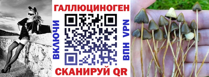 Галлюциногенные грибы прущие грибы  продажа наркотиков  Отрадный 