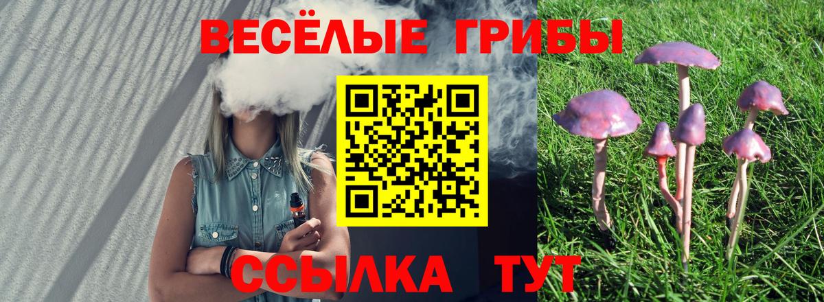 Отрадный  Галлюциногенные грибы Psilocybine cubensis  Вход с VPN  Галлюциногенные грибы Magic Shrooms 